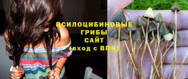 крисы Баксан